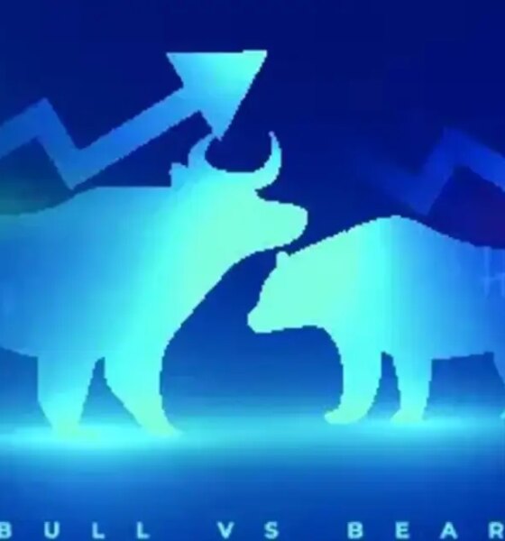 Fund managers urge diversification amid AI and valuation concerns