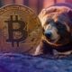 Bitcoin May Already Be Two Months Into a Bear Market: CryptoQuant