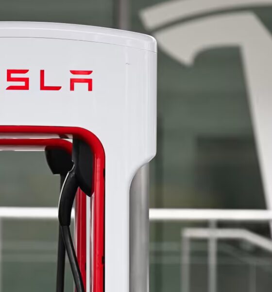 Tesla Stock Pops and Drops After Fourth-Quarter Deliveries.
