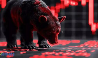 Midcap multibagger stock tumbles 13% as Q3 net profit drops 33% to Rs 72 crore