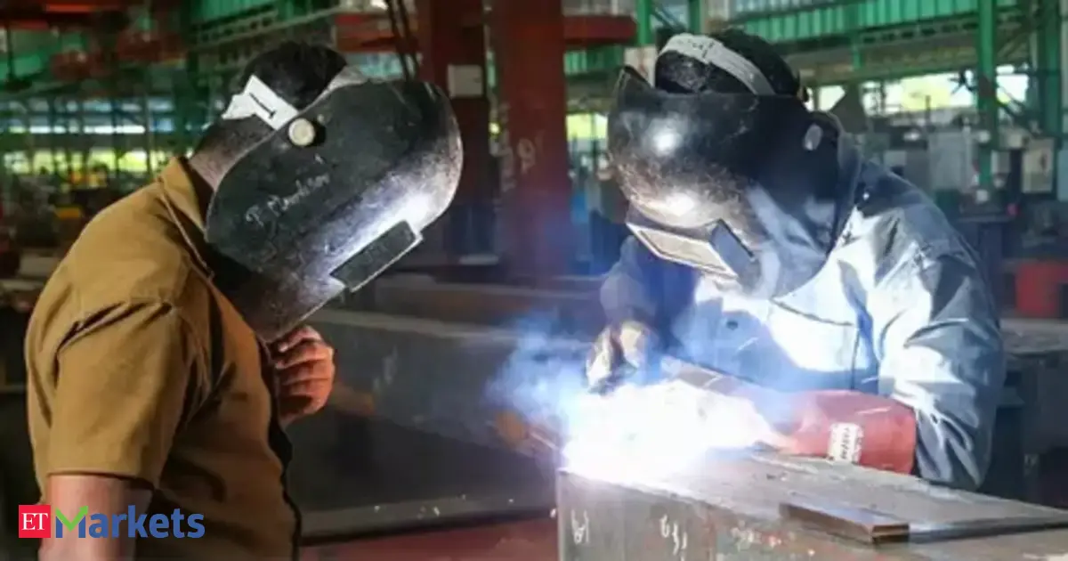 BHEL share price: BHEL shares rally 5% after hitting lower circuit on China concerns. Should you buy, sell or hold?