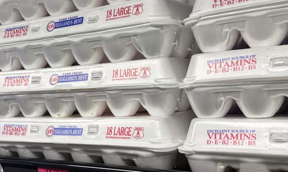 Cal-Maine Stock Tumbles on Lower Egg Prices and Shrinking Earnings. Why Wall Street Remains Upbeat.