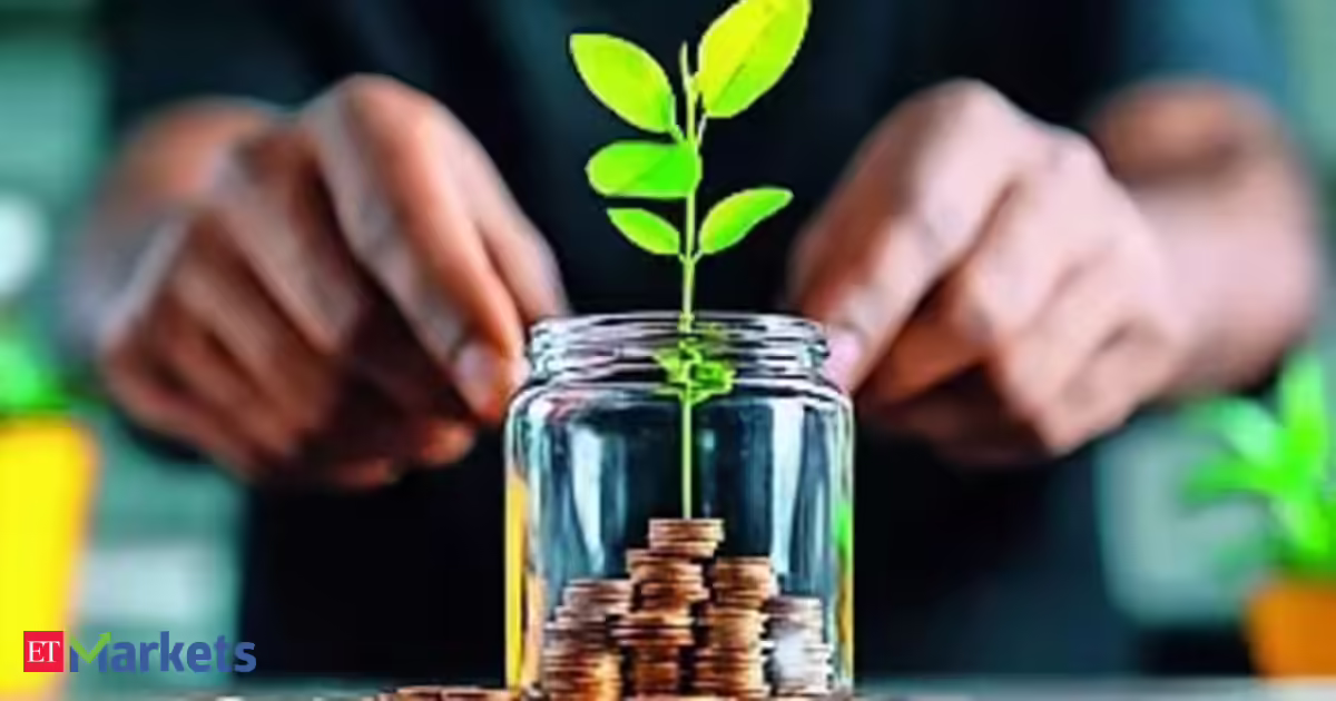 Small Finance Banks: After asset quality hit, small finance banks to sharpen risk controls for 2026