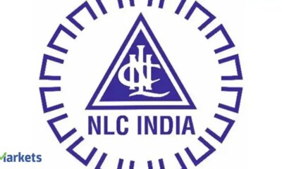 PSU NLC India's board approves listing of its renewable arm as govt set to divest up to 25% stake