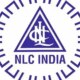 PSU NLC India's board approves listing of its renewable arm as govt set to divest up to 25% stake