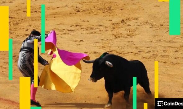 Bitcoin surges above $95,000 as ether, solana, cardano jump 8% on investor optimism