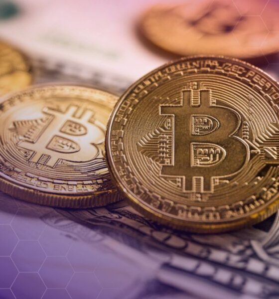 Bitcoin Can Hit New Highs in 2026 as Dollar Liquidity Expands, Says Arthur Hayes