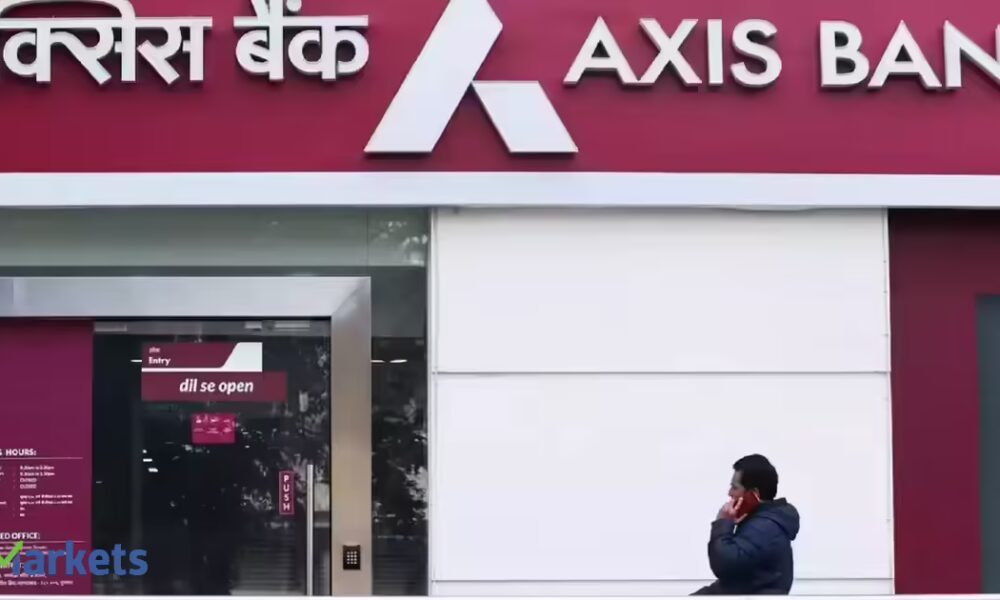 BluPine raises Rs 5,400 cr loan underwritten by Axis Bank