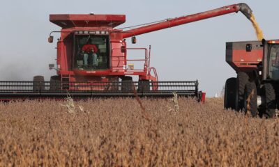 U.S. Soybean Farmers Staring at More Hard Times in 2026