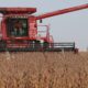 U.S. Soybean Farmers Staring at More Hard Times in 2026