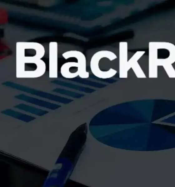 JioBlackRock Mutual Fund: MCX, HAL, Paytm among stocks bought and sold in December