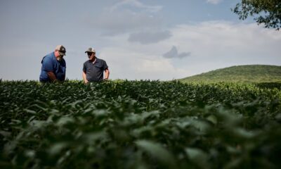 Patrick Thomas hedcut