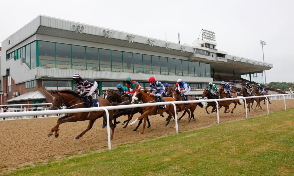 Wolverhampton hosts a seven-race meeting on Monday when Newsboy’s nap, Zoulu Warrior, is fancied to win the 7.00