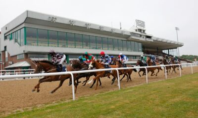 Wolverhampton hosts a seven-race meeting on Monday when Newsboy’s nap, Zoulu Warrior, is fancied to win the 7.00