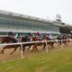 Wolverhampton hosts a seven-race meeting on Monday when Newsboy’s nap, Zoulu Warrior, is fancied to win the 7.00