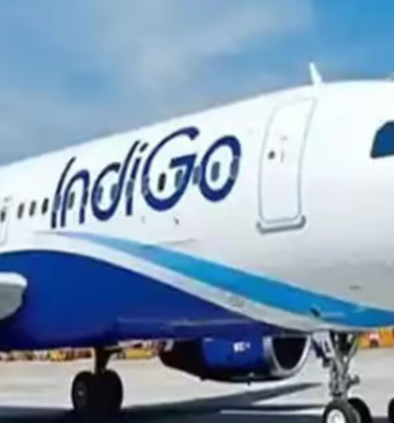 IndiGo posts biggest single-day gain in 16 months