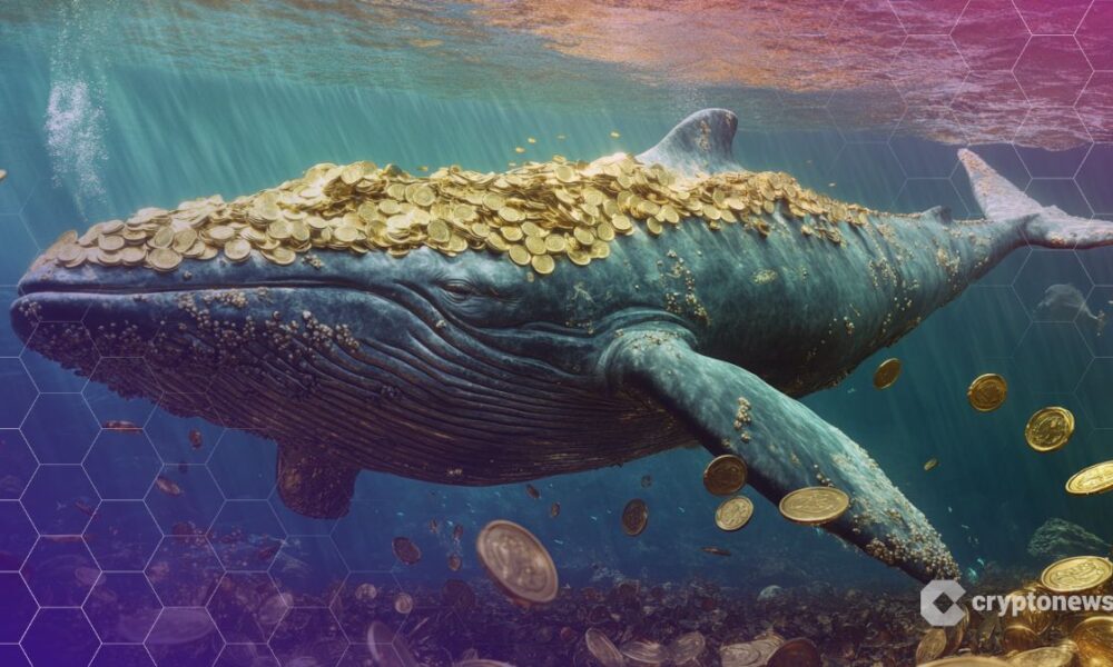 Asset Manager SkyBridge Prepares For Choppy Markets, Keeps Faith In Bitcoin