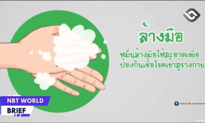 Thailand on High Alert, No Nipah Cases Detected Yet