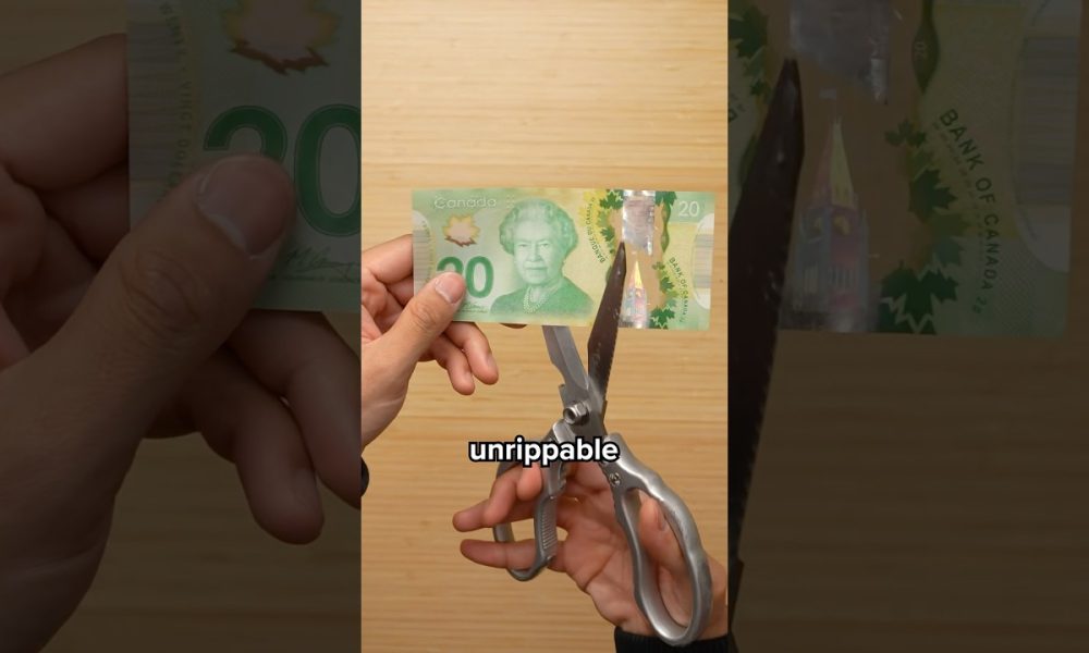 I Tested the “Unrippable” Money