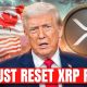 Prepare For COMPLETE CHAOS For XRP! XRP Prediction 2026!