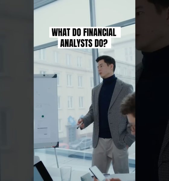 What Do Financial Analysts Actually Do? #career