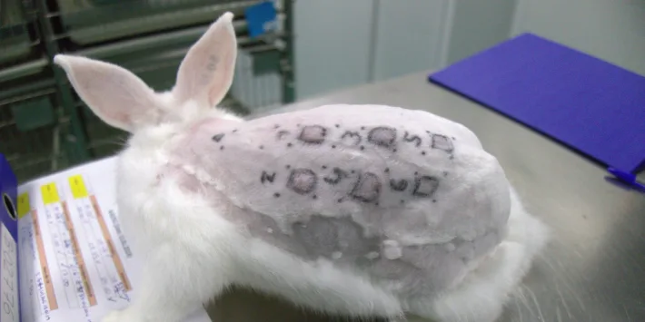 Government launches bold new plan to replace animal testing