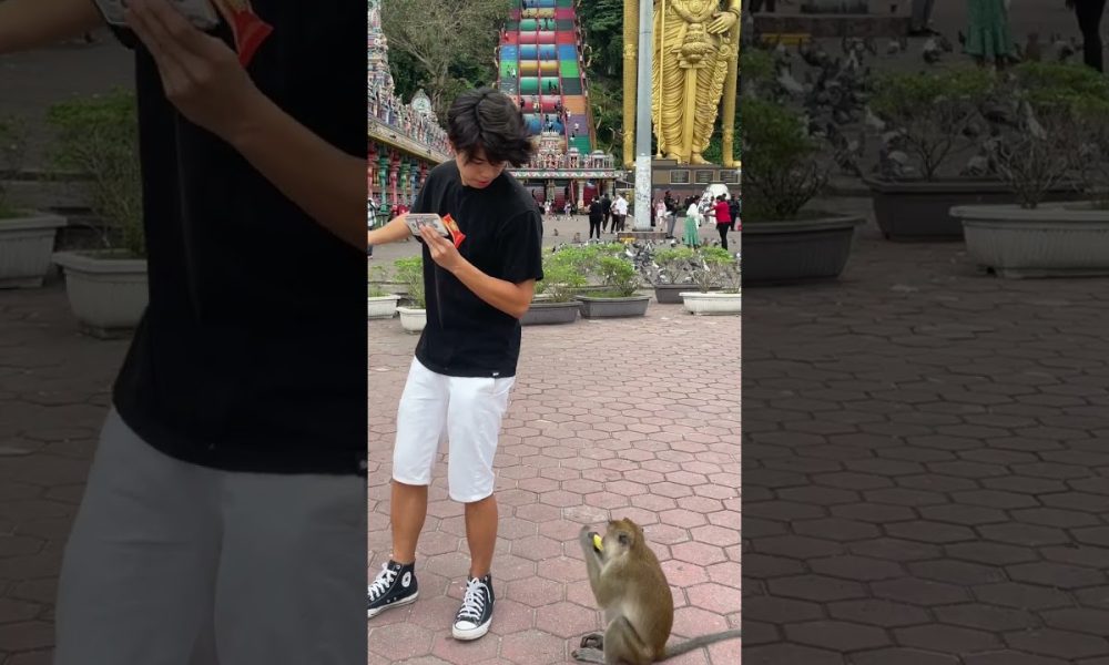 MONEY OR BANANA? #shorts