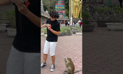 MONEY OR BANANA? #shorts