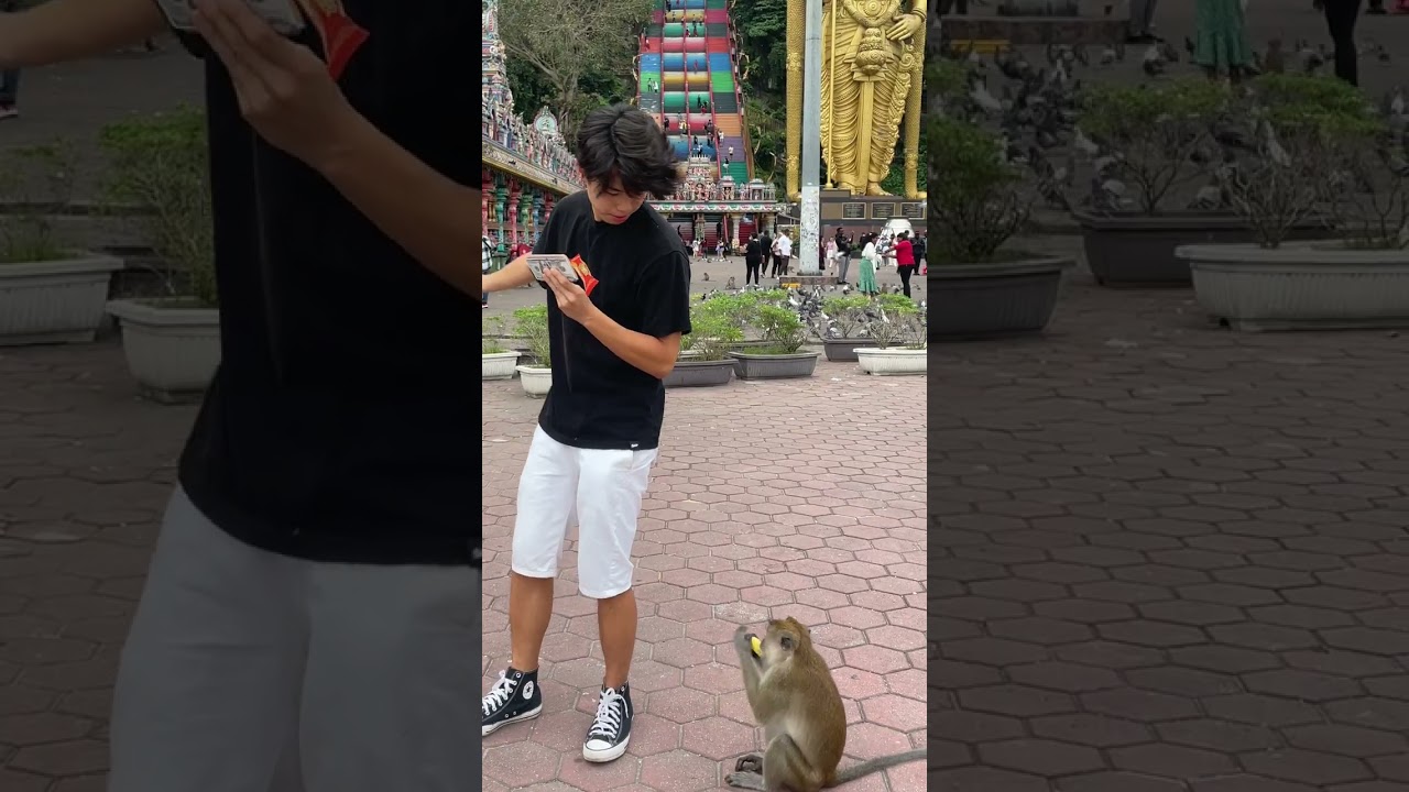 MONEY OR BANANA? #shorts