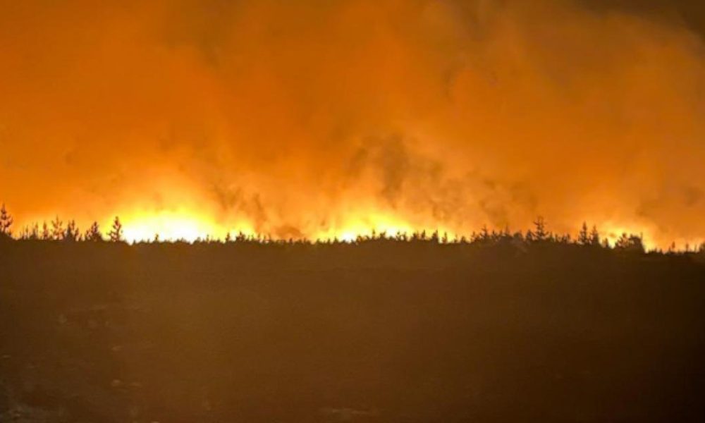 New North Yorkshire extreme weather business support scheme