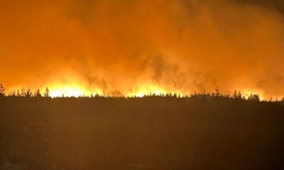 New North Yorkshire extreme weather business support scheme