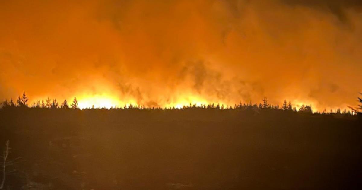 New North Yorkshire extreme weather business support scheme