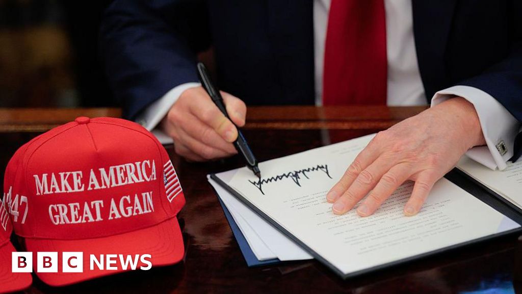 What are tariffs, how do they work and why is Trump using them?