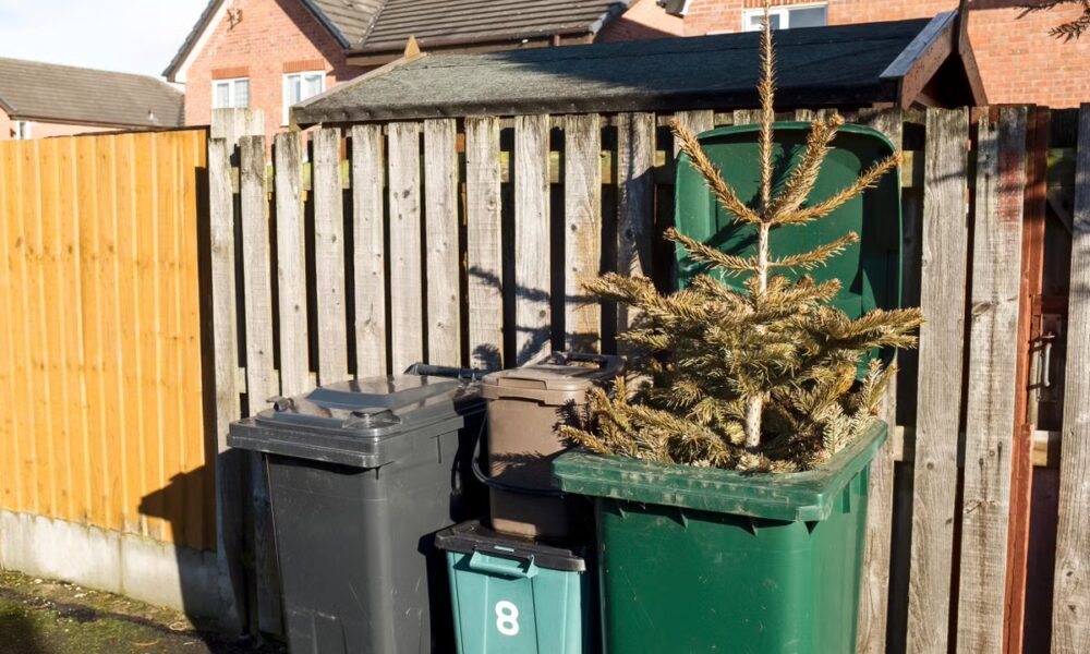 How late can I take my Christmas tree down?