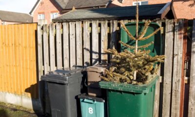 How late can I take my Christmas tree down?