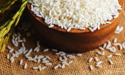 Thailand Elevates Rice Market with Premium Strategy