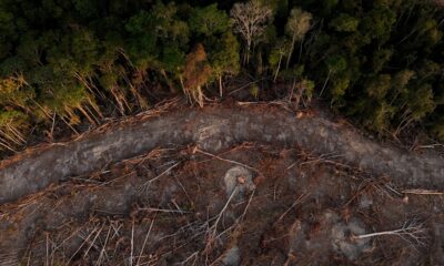 Global grain traders' green pledges face skepticism as deal to protect Brazil's rainforest unravels