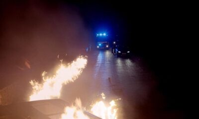 Corriedale Backstage Pass takes viewers behind the scenes now