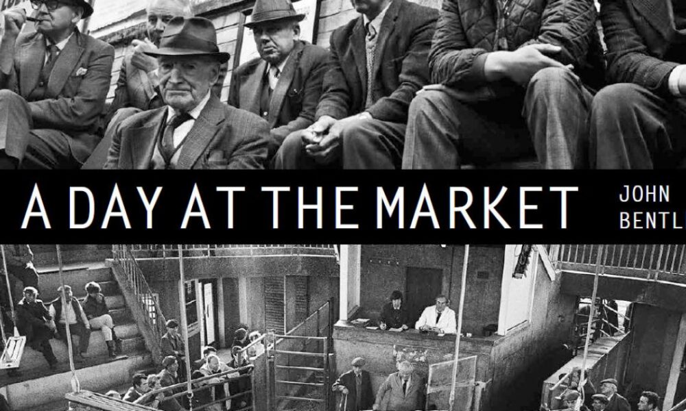 Yorkshire livestock markets largely lost over time