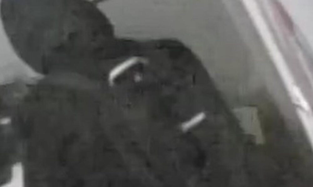 Tips stolen from Rose and Crown pub in Lawrence Street.