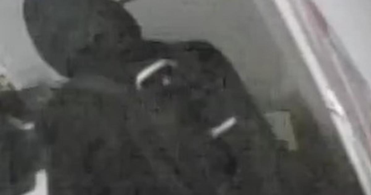 Tips stolen from Rose and Crown pub in Lawrence Street.