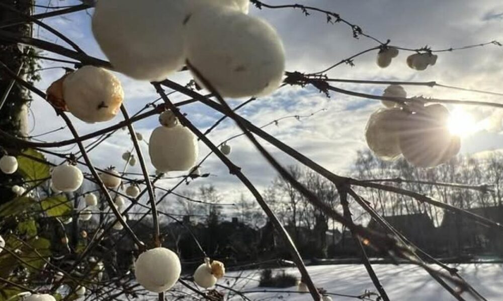 LIVE: Icy conditions remain with York and North Yorkshire under Met Office warning