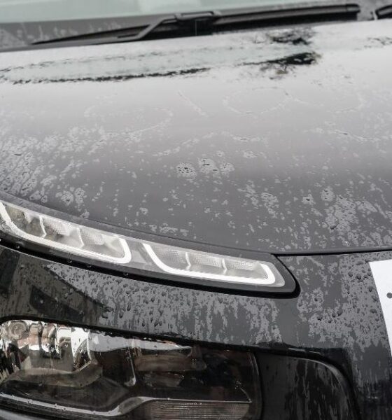 DVSA shares 3 UK driving test changes coming in spring 2026