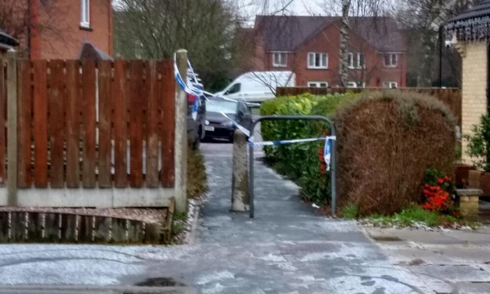 Lindley Road Rawcliffe York stabbing: man in police custody