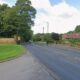 Ladgate Lane, Middlesbrough closed for tree removal work
