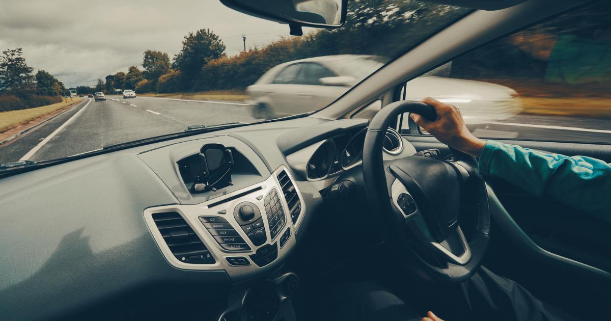 Drivers warned of increased road collision risk due to foxes