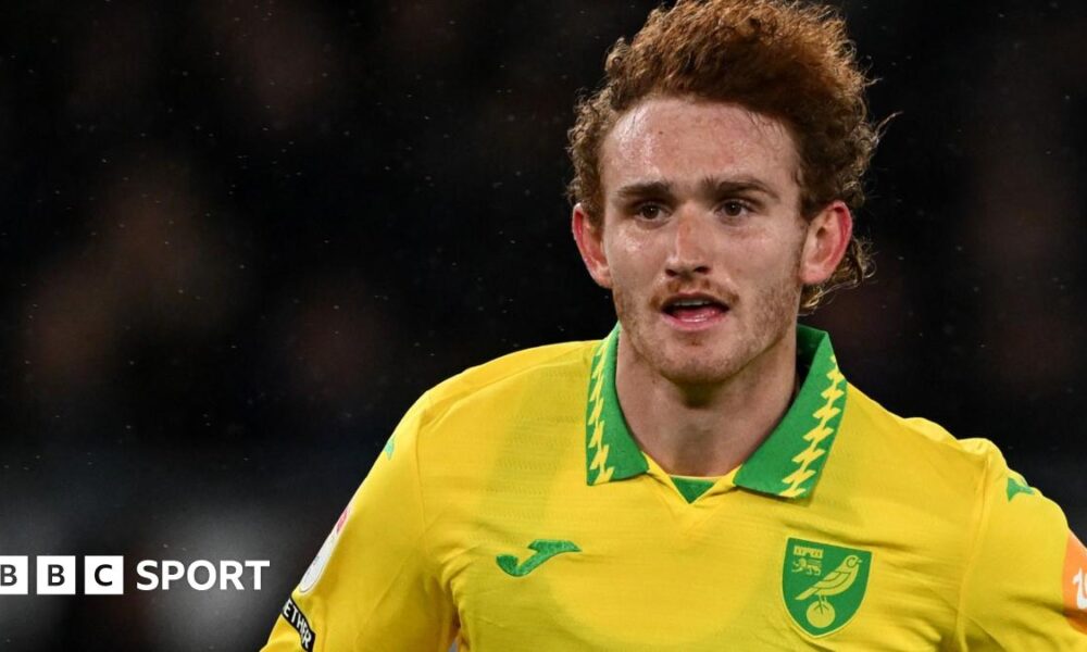 Josh Sargent in action for Norwich City