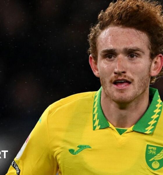 Josh Sargent in action for Norwich City