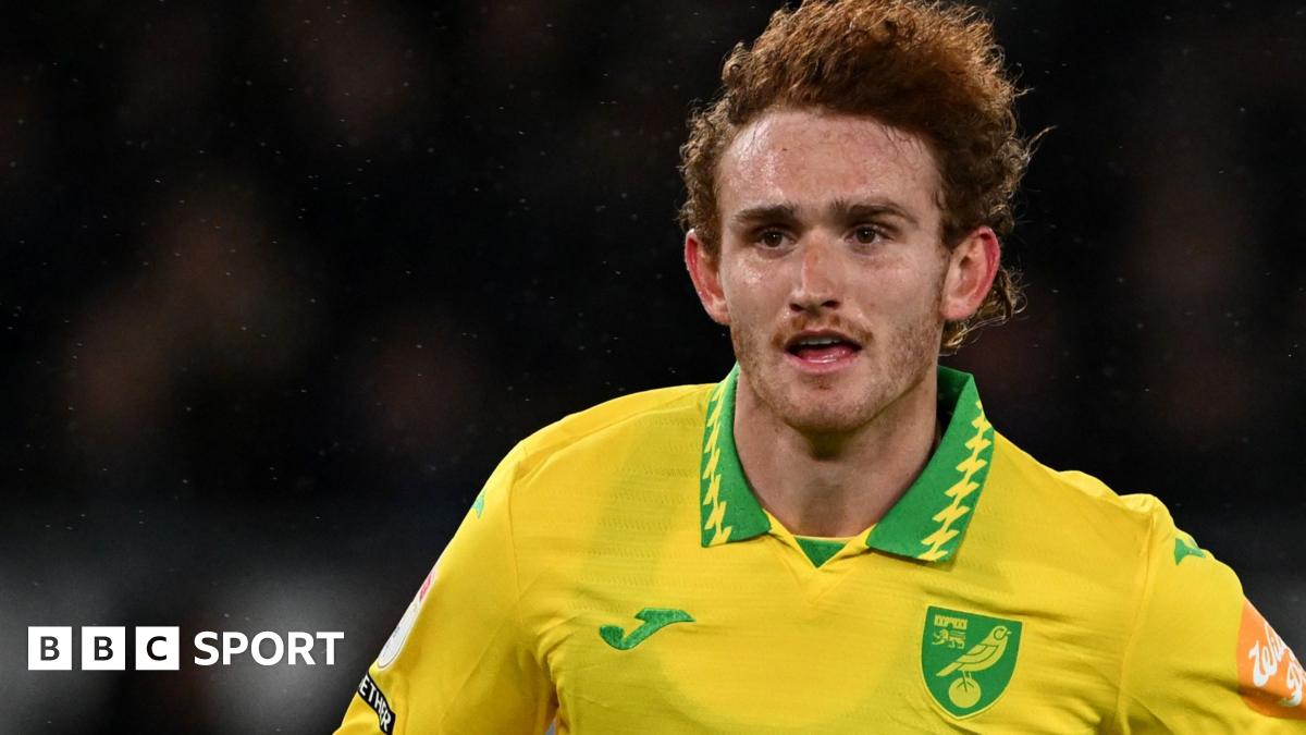 Josh Sargent in action for Norwich City