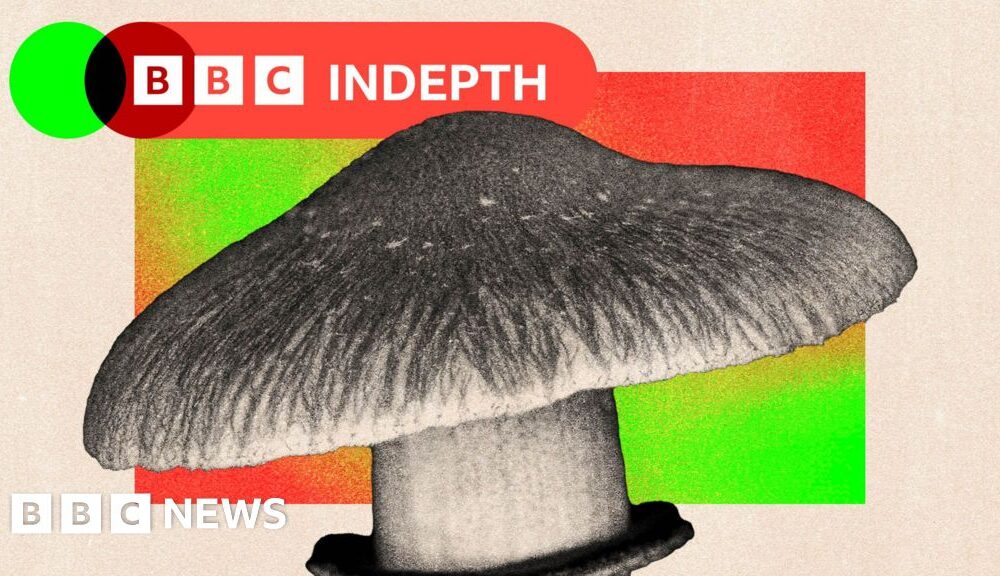 Should the NHS use magic mushrooms to treat mental health?